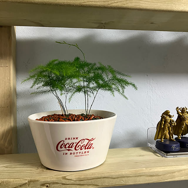 koshiregutyoさんの部屋