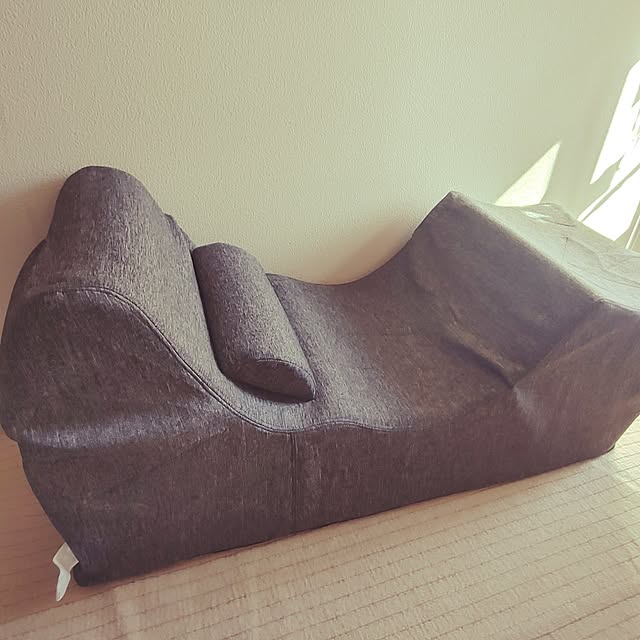 ジヌス ゼログラビティチェアのおすすめ商品とおしゃれな実例 ジヌス ゼログラビティチェアのおすすめ商品とおしゃれな実例