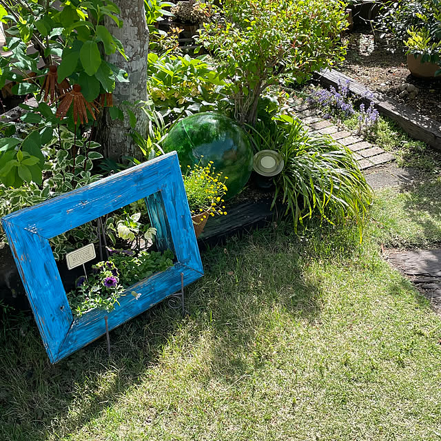 nobikoさんの部屋