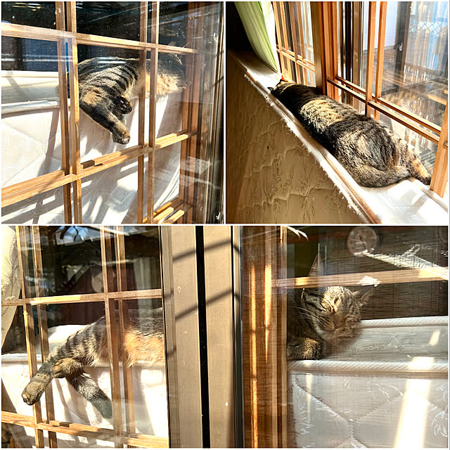 mohhaさんの実例写真