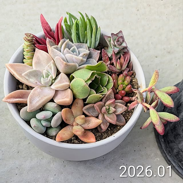 leaf_homeさんの部屋