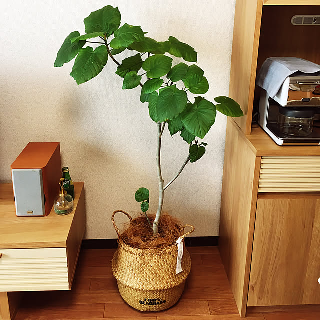 naoさんの実例写真