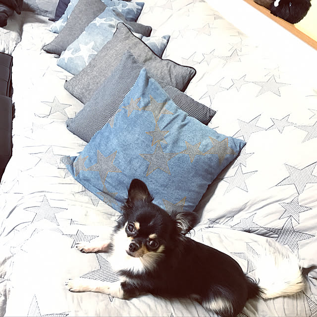 eriさんの実例写真