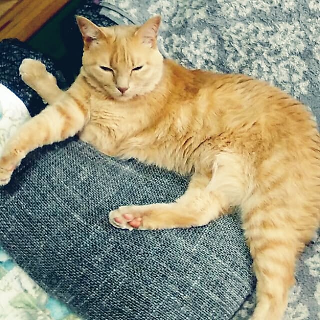 nana.maroさんの実例写真