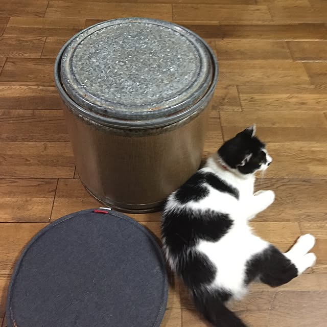 mirinrinさんの実例写真