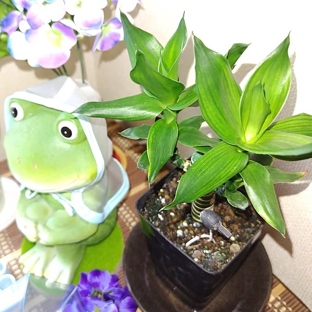 katさんの部屋