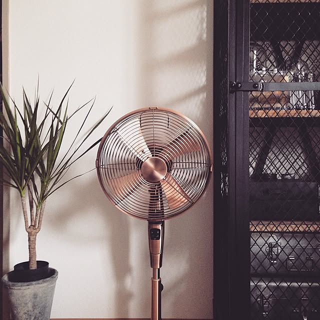coloriさんの実例写真