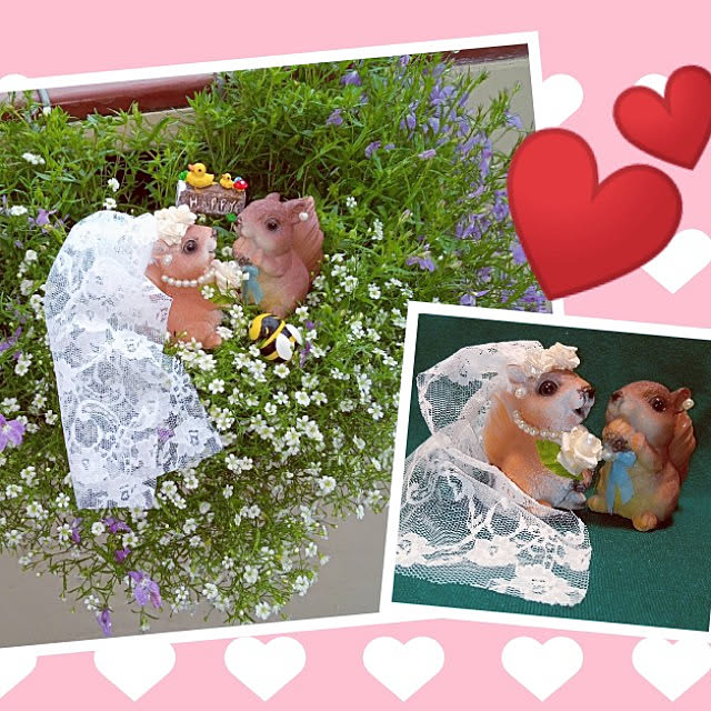 mocomocoさんの実例写真