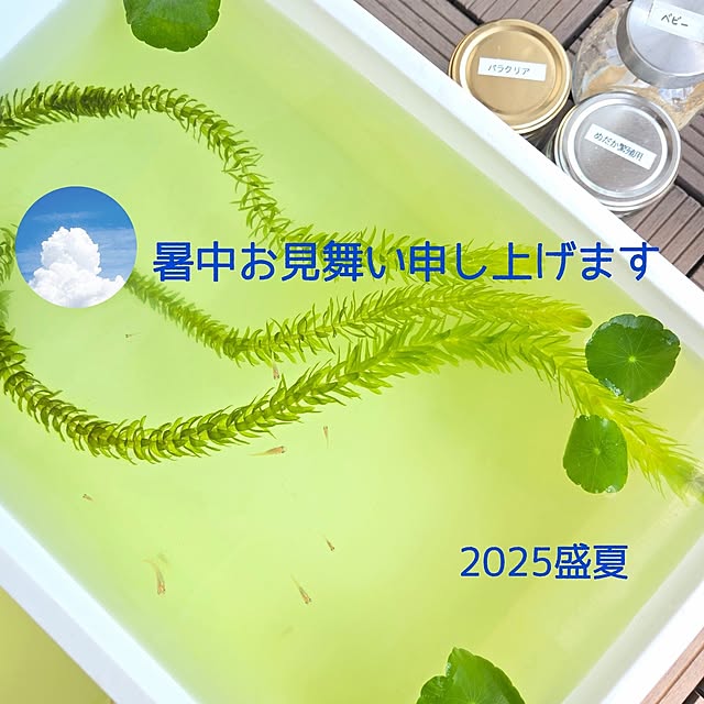 love1017さんの実例写真