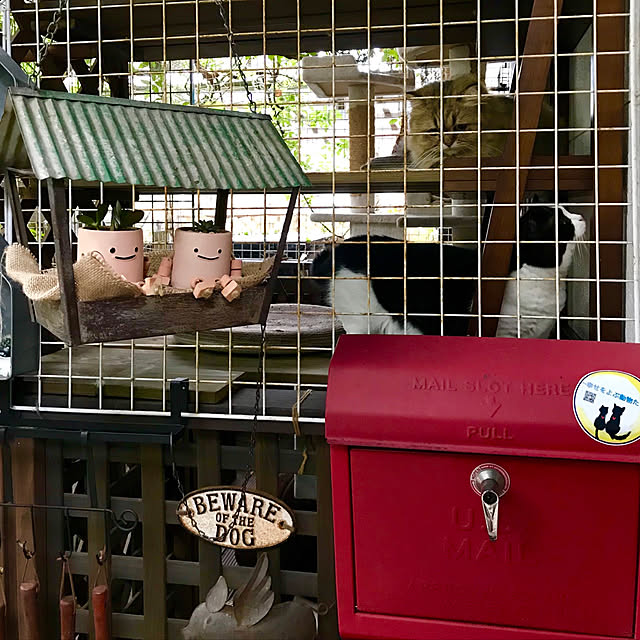 butachanさんの実例写真
