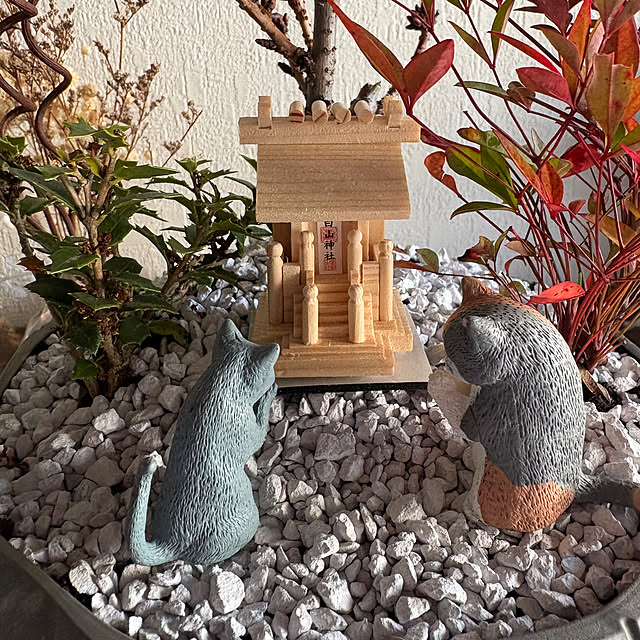 thirorunさんの部屋