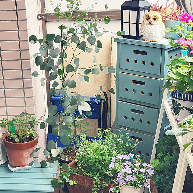 berryberryさんの実例写真
