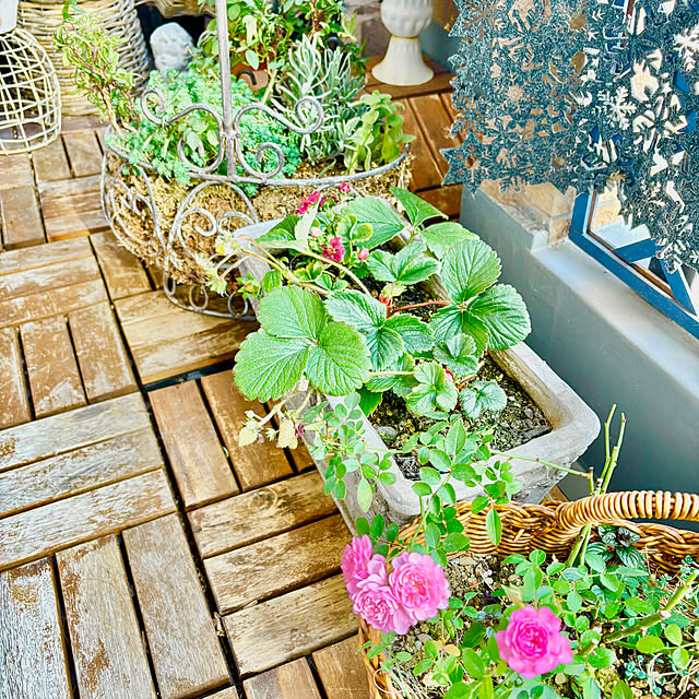 naokoさんの部屋