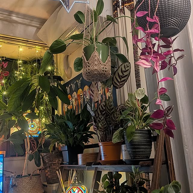 Michikoさんの部屋
