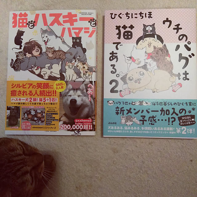 futukoさんの実例写真