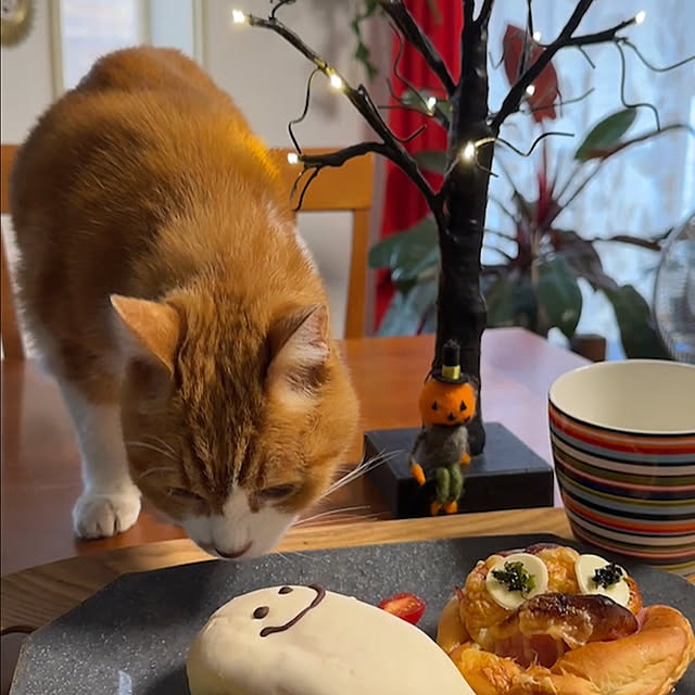 nyanko-beamさんの実例写真