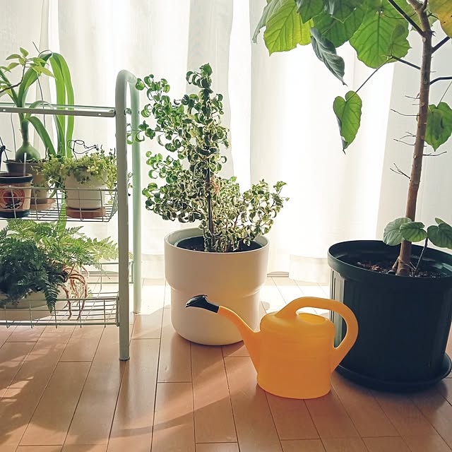 wanidaさんの実例写真
