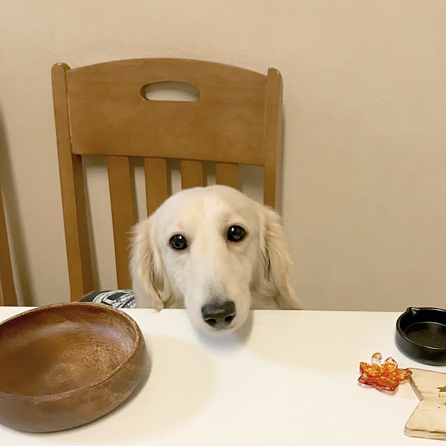 tmさんの実例写真