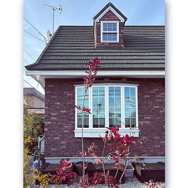 usagiさんの部屋