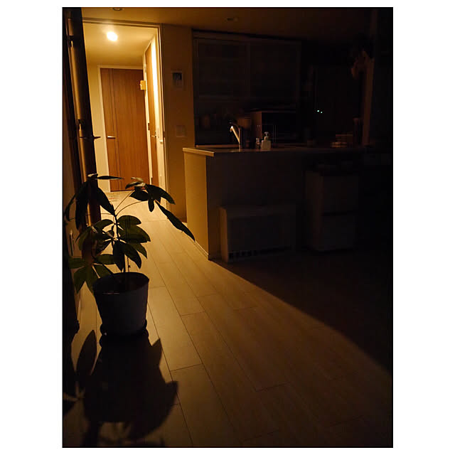 mimiさんの実例写真