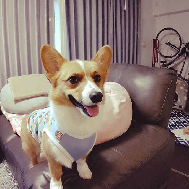 megusuke39さんの実例写真