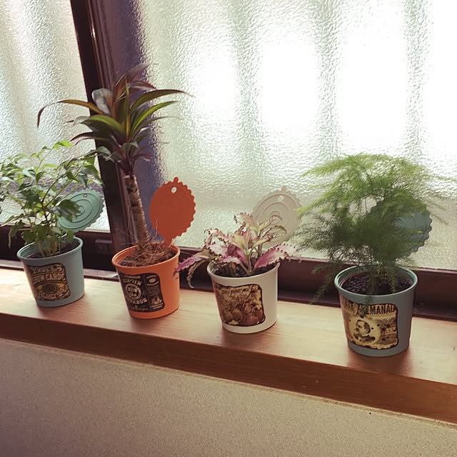 collonさんの実例写真