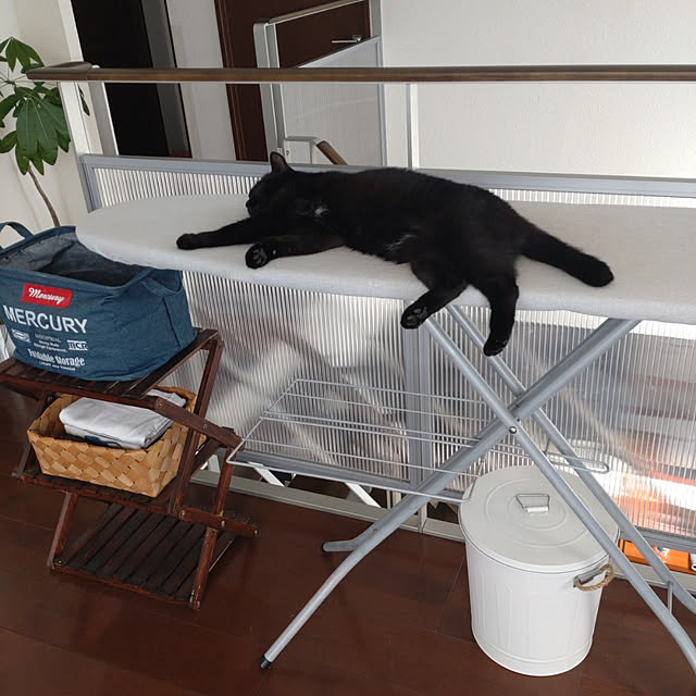 kuroさんの実例写真
