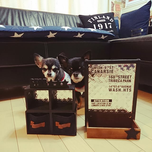 lovepeaceさんの実例写真
