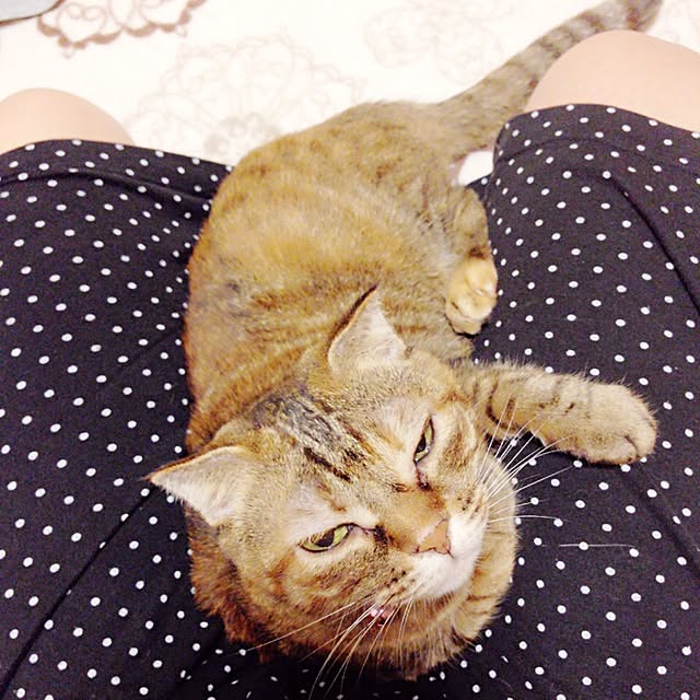 Y.Gさんの実例写真