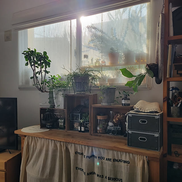 masarinn.さんの実例写真