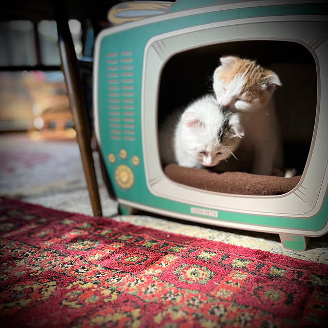 marusanさんの部屋