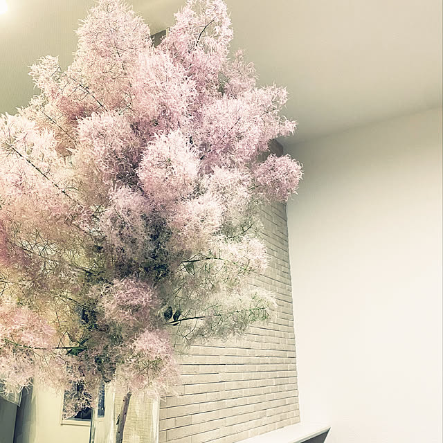 mamiさんの実例写真