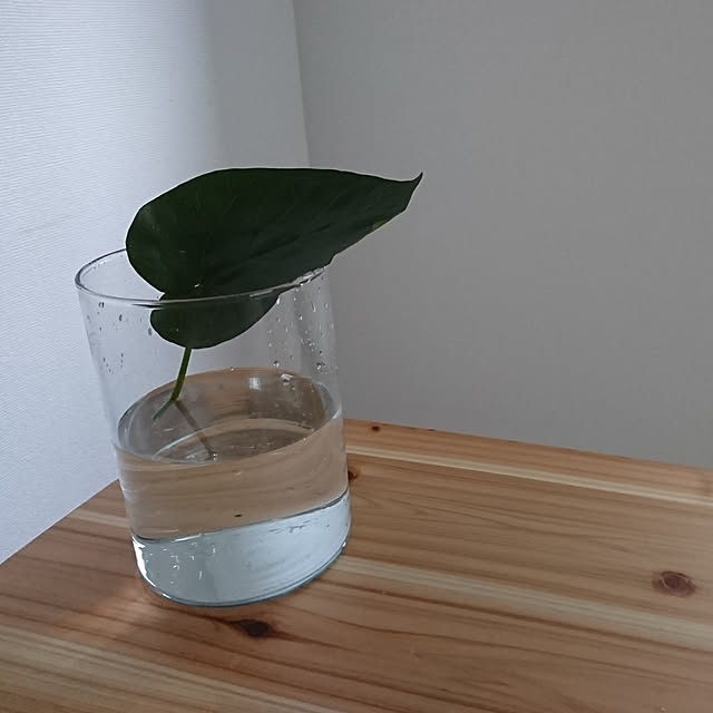 shiroさんの実例写真