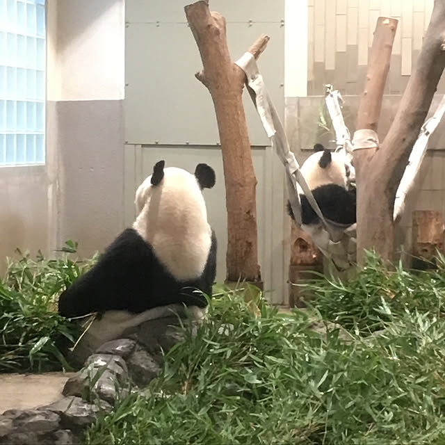 happy027さんの実例写真