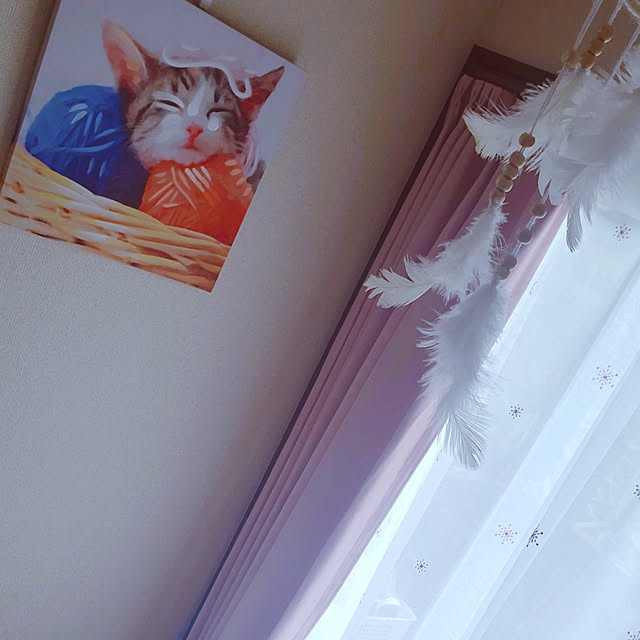 tanpopoさんの実例写真
