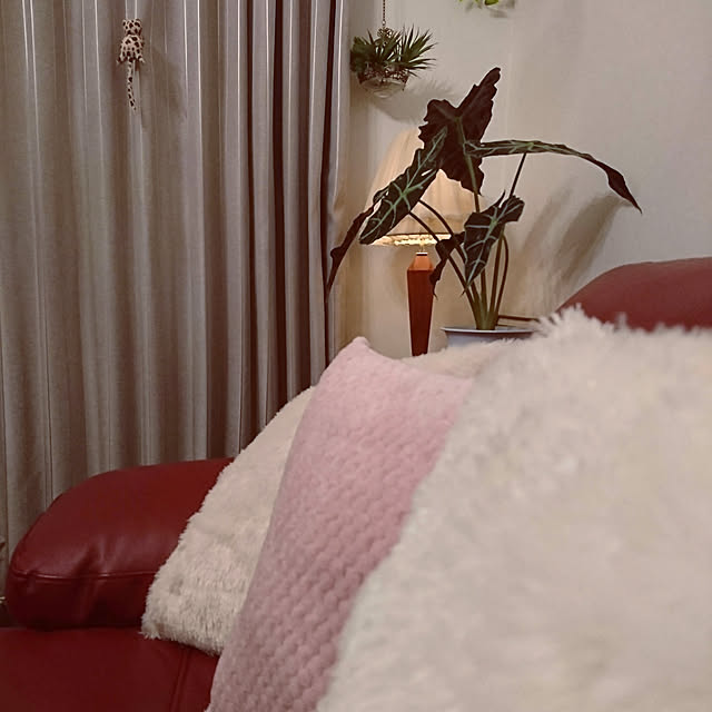 Natashyaさんの実例写真