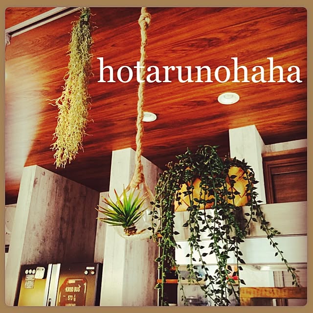 hotarunohahaさんの実例写真