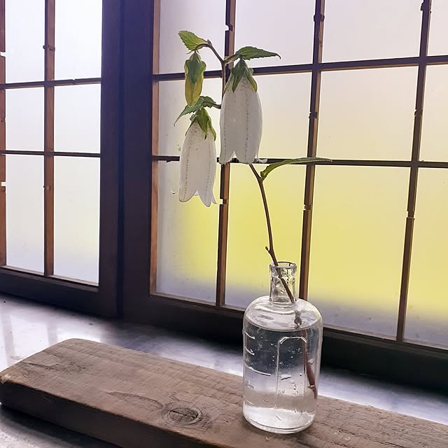 hononoさんの部屋