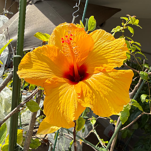 Aqettyさんの部屋