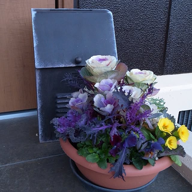 dannaさんの実例写真