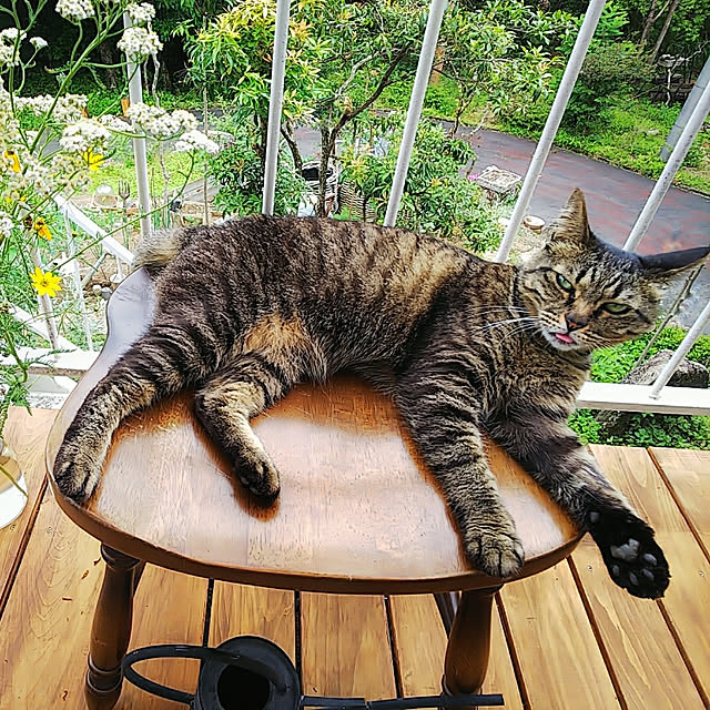 weさんの実例写真