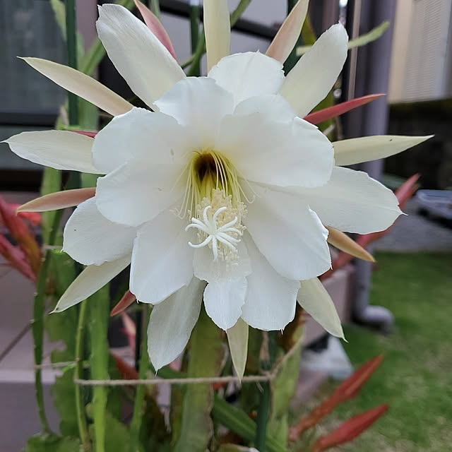 ramuramuさんの部屋