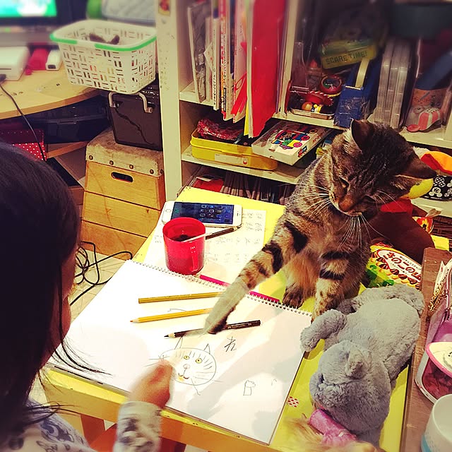kaederamoneさんの実例写真