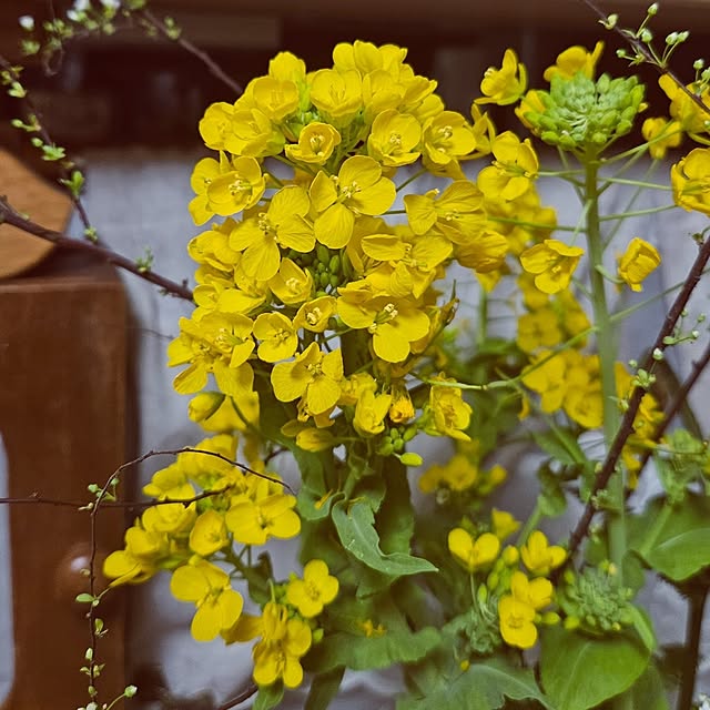 mocomocoさんの部屋