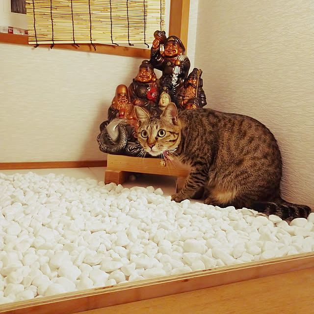 raraさんの実例写真