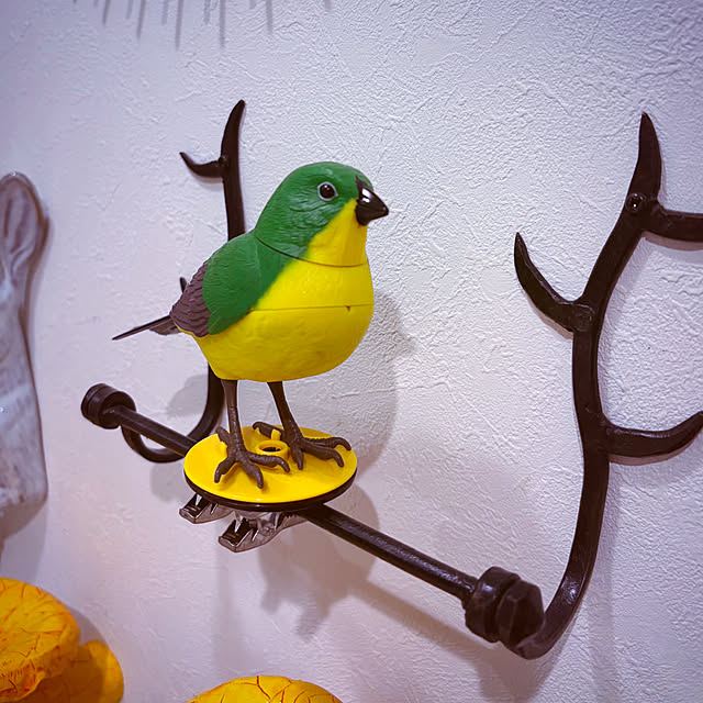 municoさんの部屋