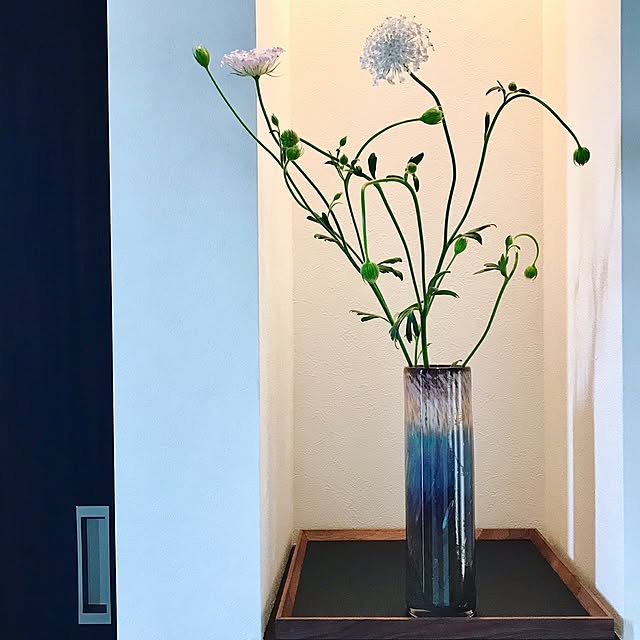 5mayさんの実例写真