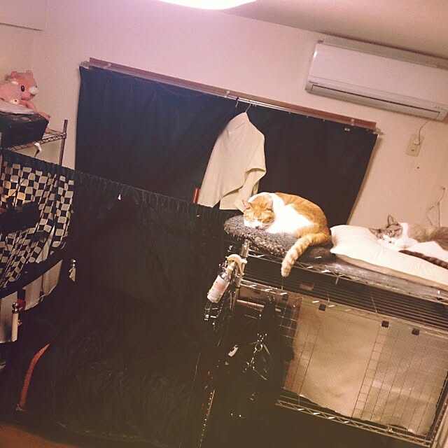 juzoさんの実例写真