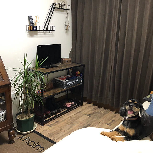 cocoさんの実例写真
