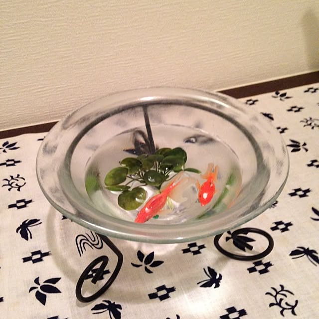yuusumireさんの実例写真